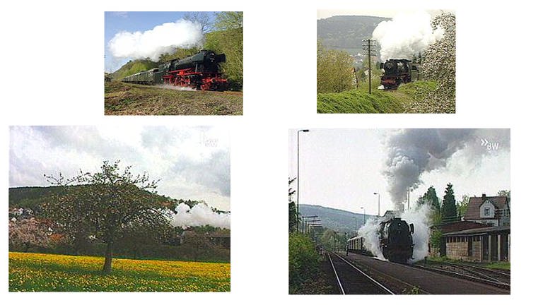 Impressionen von der Odenwaldbahn (Foto: SWR, Hagen von Ortloff)