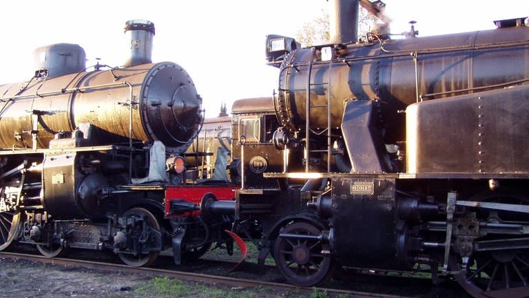 150 Jahre schwedische Eisenbahn (Foto: SWR, Michael Frick)
