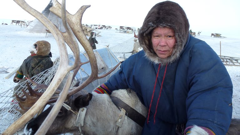 Die Lebensweise der Rentierhirten in der Tundra ist eine unmittelbare und enge Verbindung von Mensch und Natur.  (Foto: MedienKontor / Wolfgang Mertin)