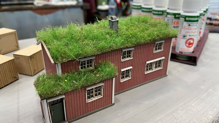 Firma Joswood: Bereits im vergangenen Jahr hat Joswood ein norwegisches Haus angekündigt, bei dem das Dach begrünt ist.  (Foto: SWR, Hagen von Ortloff)
