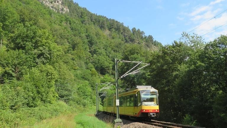 Bahn (Foto: SWR, SWR -)