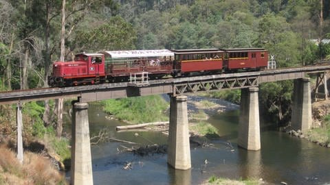 Die Walhalla Goldfields Railway quert den Thomson River (Foto: SWR, SWR - Susanne Mayer-Hagmann)