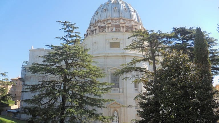Petersdom von den Vatikanischen Gärten aus (Foto: SWR, Alexander Schweitzer)