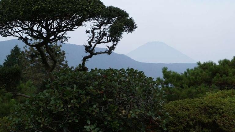 Blick zum Fuji über den Fuji-Hakone-Izu-Nationalpark. (Foto: SWR, SWR - Andreas Stierl)