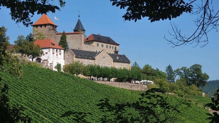 Weingut Schloss Eberstein (Foto: SWR, SWR -)