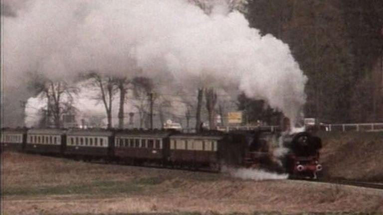 Ein Dampfsonderzug der Ulmer Eisenbahn Freunde-Ettlingen (Foto: SWR, SWR -)