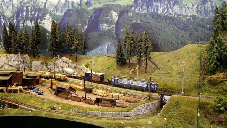 Vereniging Spoorgroep Zwitserland: Anlage in Spur H0e; Sägerei mit Holzlager; (Foto: SWR, SWR - Wolfgang Drichelt)