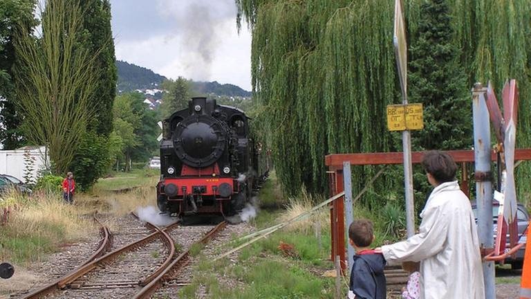 An den zu kreuzenden Bahnübergängen warten immer wieder Kinder und Erwachsene auf den heran nahenden Zug. (Foto: SWR, Wolfgang Drichelt -)