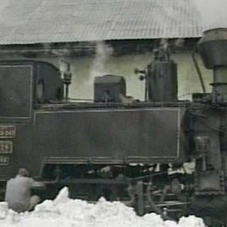 Die Lokomotive 763-247 wurde 1913 von der Firma Kraus in München gebaut. Ursprünglich sollte sie von einer Handelsgesellschaft nach Warschau transportiert werden. (Foto: SWR, SWR -)