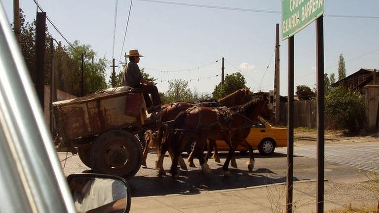 In Los Andes wird fast alles, was preisgünstig von A nach B muß, mit der Pferdekarre erledigt. (Foto: SWR, SWR - HvO)