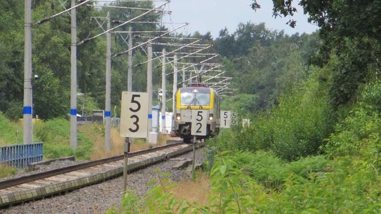 In der Ferne des Kamerazooms erscheinen die belgischen E-Loks in Doppeltraktion  auf der 800 Meter langen Geraden des Testkreises. (Foto: SWR, SWR - Bernhard Foos)