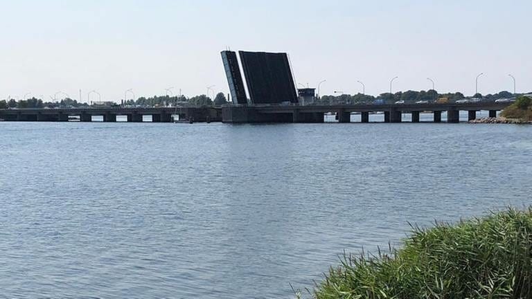 Die Brücke reicht über den fast 300 Meter langen Guldborgsund. (Foto: SWR, SWR - Kirsten Ruppel)