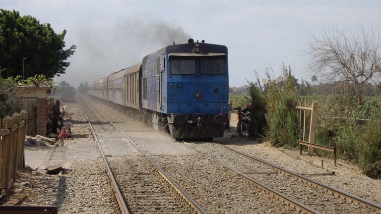 Einer der unzähligen Züge rast durchs Nildelta (Foto: SWR, Alexander Schweitzer)