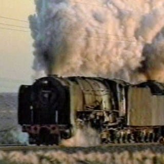 Dampfwolken der Kimberly Dampflokomotiven (Foto: SWR, SWR -)