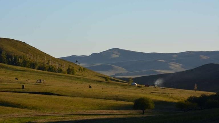 Der Norden der Mongolei rund um Darchan – die drittgrößte Stadt des Landes – bietet sattgrüne Weideflächen und eine wunderschöne Berglandschaft. (Foto: SWR, SWR - Grit Merten)