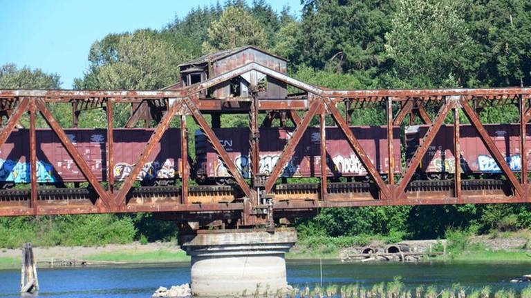 Bei näherer Betrachtung scheint die Brücke in einem ziemlich maroden Zustand zu sein. (Foto: SWR, SWR - Harald Kirchner)