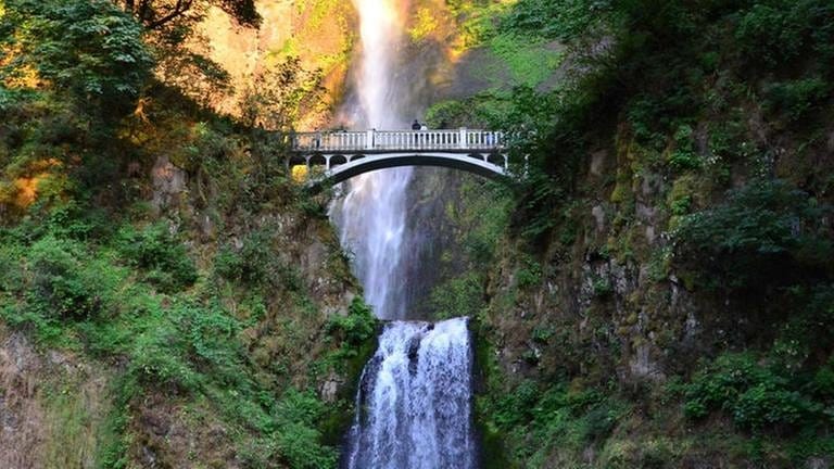 Die Multnomah Falls mit insgesamt 188 Metern Höhe liegen direkt an der Bahnstrecke. (Foto: SWR, SWR - Harald Kirchner)