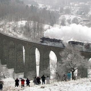 Dampfreise zum Rübezahl (Foto: SWR, SWR -)