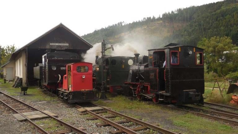 Depot der Gurkthalbahn in Pöckstein-Zwischenwässern in der Nähe von St. Veit.  Einmal im Jahr werden auf der 760mm schmalen Strecke zwei Dampflokomotiven angeheizt.
