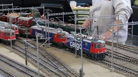 Eisenbahnmodellbaugruppe Wangen bei Olten (Foto: SWR, SWR - Wolfgang Drichelt)