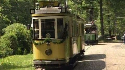 Kirnitzschtal-Überland-Straßenbahnen: ET 57 und die original grünen Triebwagen im Hintergrund. (Foto: SWR, SWR -)