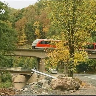 Müglitztalbahn (Foto: SWR, SWR -)