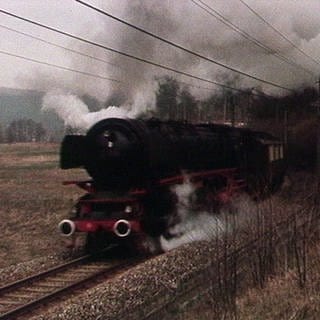 Ein Zug (Foto: SWR)