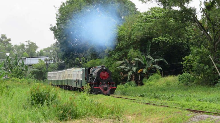 Eine Dampflok der englischen Vulcan Foundry aus den 50er Jahren steht vor den restaurierten Reisezugwagen der North Borneo Railway.