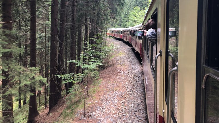 Der Zug durchquert am Pass zwischen Iser- und Riesengebirge dichten Wald.  (Foto: SWR, Kirsten Ruppel)
