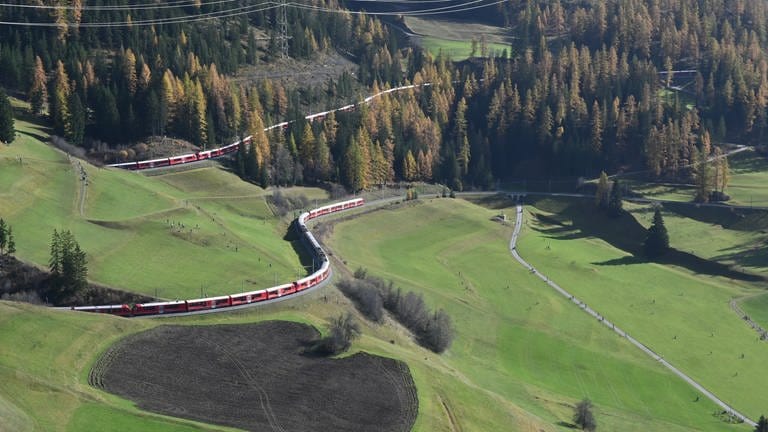 Der Weltrekordzug oberhalb von Bergün:  1906 Meter ist er  lang und besteht aus 25 vierteiligen Capricorn-Triebzügen. (Foto: SWR, Bettina Bansbach)