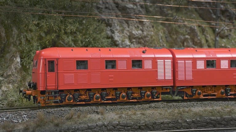 Roco präsentiert die Doppel-Diesellok, Baureihe 288 (Foto: SWR, Andreas Stirl)
