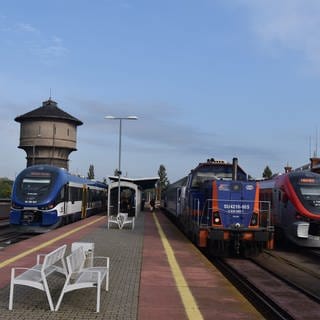 Drei Eisenbahnen auf der Strecke der Ostbahn auf dem Bahnhof von Küstrin (Foto: SWR)