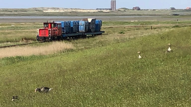 Ein Müllzug auf dem Rückweg vom Fähranleger. Auf der autofreien Insel Wangerooge wird alles, auch der Müll, mit dem Zug transportiert. (Foto: SWR, Alexander Schweitzer)