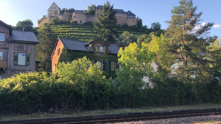 Die Ebernburg oberhalb der Strecke: wenn ein Zug von Norden ins Alsenztal reinfährt, kommt er an etlichen Burgen vorbei.