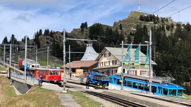 In Rigi Staffel teilt sich die Strecke. Die roten Züge fahren nach Vitznau, die blauen nach Goldau. 