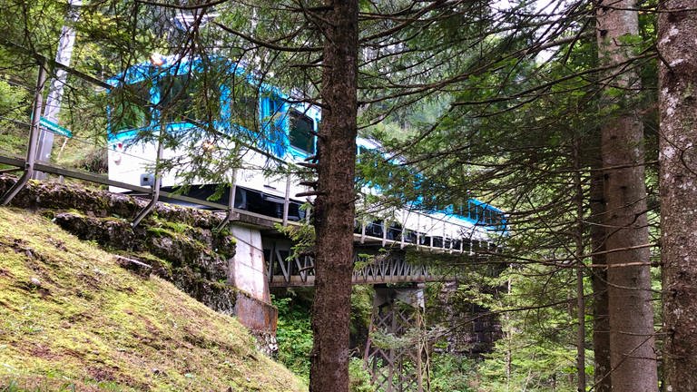 Auf der Nordseite der Rigi fährt die Bahn durch dichten Nadelwald, auf alten Brücken dicht an kleinen Wasserfällen vorbei.  (Foto: SWR, Kirsten Ruppel)
