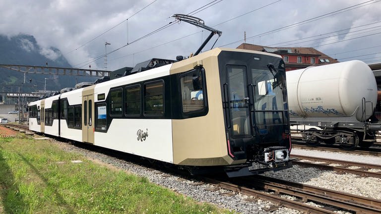 Der von Stadler Rail ausgelieferte Triebzug steht im Bahnhof Arth-Goldau bereit für die Probefahrt.  (Foto: SWR, Kirsten Ruppel)
