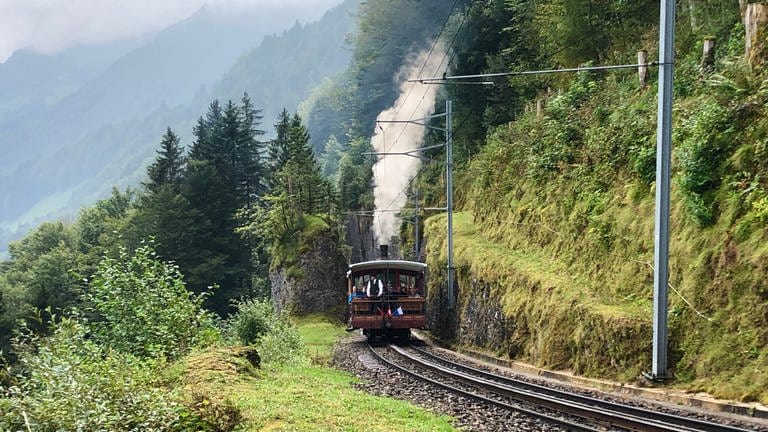 Lok 7 ist auch am Nordhang der Rigi unterwegs, hier gerade an der Kräbelwand. (Foto: SWR, Kirsten Ruppel)