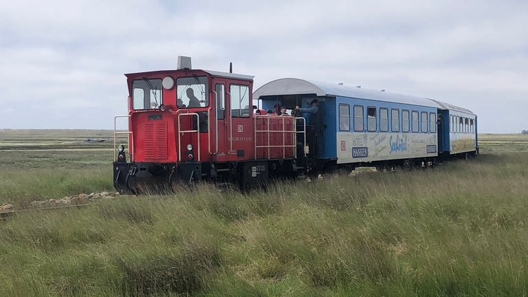 Die Inselbahn benötigt rund 15 Minuten für die Fahrt vom Fähranleger zum Bahnhof Wangerooge. Die Fahrt geht dabei hauptsächlich durchs Naturschutzgebiet. Einzig der Zug darf hier das Naturschutzgebiet „betreten.“ (Foto: SWR, Alexander Schweitzer)
