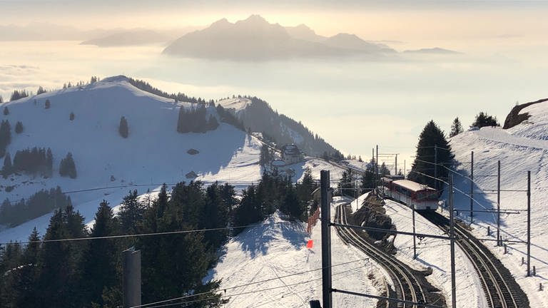 Zwei Bahnen auf einem Berg: im Schnee zeichnen sich die Gleise der Vitznau- und der Arth-Rigi-Bahn besonders deutlich ab.