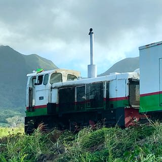 Auf der anderen Seite der Strecke beeindrucken Berge: Im Norden der Insel kommt man bei der Zugfahrt einem erloschenen Vulkan nahe.   (Foto: SWR, Kirsten Ruppel)
