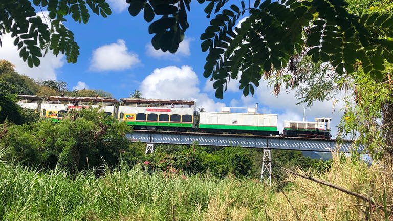 Vier solch lange, schmale Brücken gibt es auf der Strecke der St. Kitts Scenic Railway. (Foto: SWR, Kirsten Ruppel)