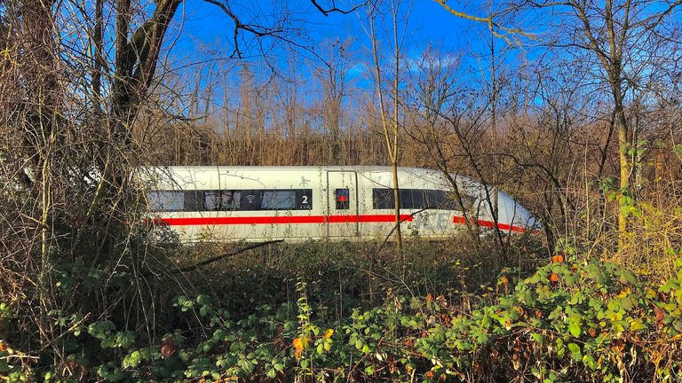 Südlich von Kornwestheim mündet die Schnellbahnstrecke von Mannheim in die Gleise von Ludwigsburg