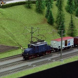 Modellbahn (Foto: SWR, SWR -)