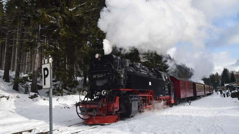 Januar (Kalender 2020): Winter im Harz, Folge 404 (Foto: SWR, SWR - Hagen von Ortloff)