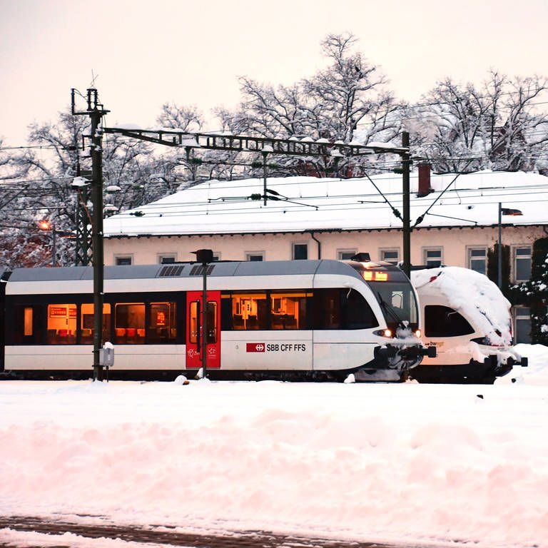 Zwei Züge in Konstanz (Foto: SWR, Harald Kirchner / Winteranfang in Konstanz - Ein Seehas ruht sich hier von den Fahrten zwischen Konstanz, Radolfzell, Singen und Engen aus. Zusammen mit einem Triebwagen des Schweizer Hersteller Stadler.)
