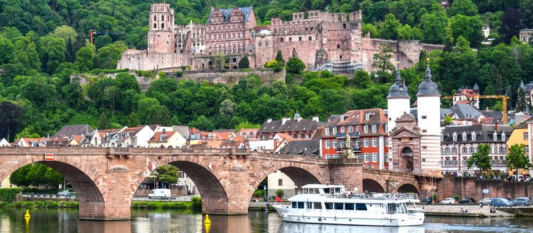Blick auf Neckar, Alte Brücke und Schloss in Heidelberg (Foto: SWR)