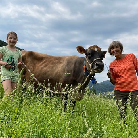 Urlaub auf dem Bauernhof pur Begegnung mit der zahmen Kuh Mareike. 