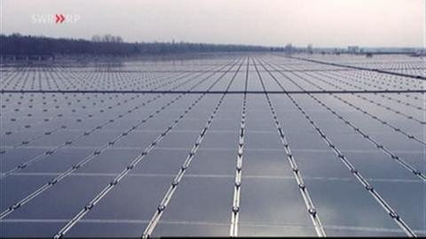 Blick über ein Feld von Solarplatten (Foto: SWR, SWR -)