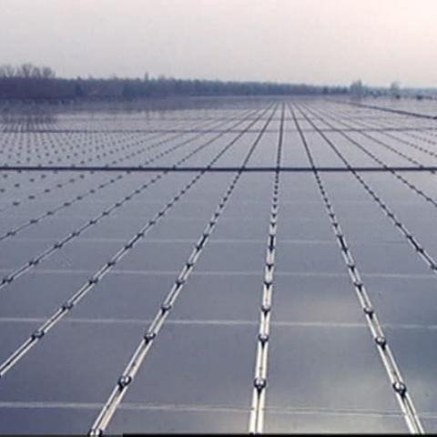 Blick über ein Feld von Solarplatten (Foto: SWR, SWR -)